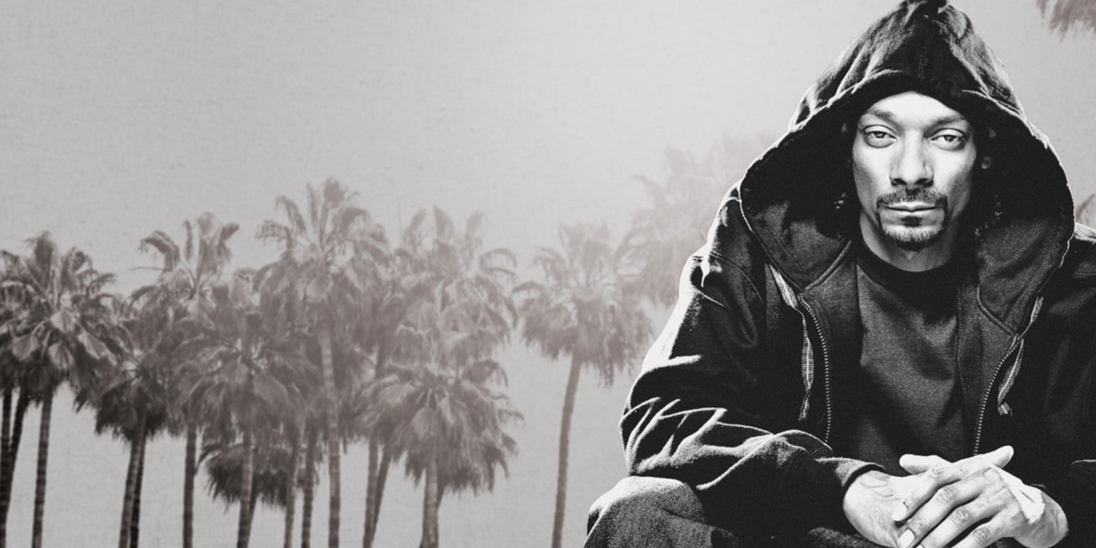 Introducing Cali by Snoop - Snoop Dogg in front of Palm Trees